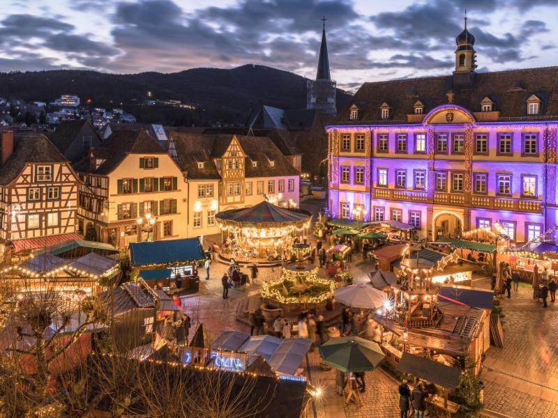 Pfaelzer Herzel Neustadt an der Weinstrasse Exterior photo